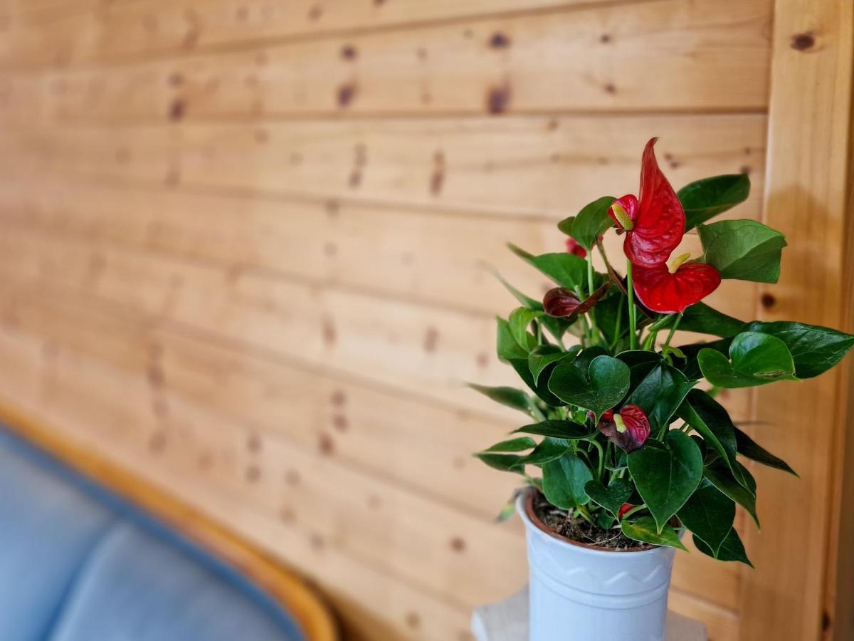Ferien Vom Ich, Bayerischer Wald, Hotel & Restaurant Neukirchen  Eksteriør billede