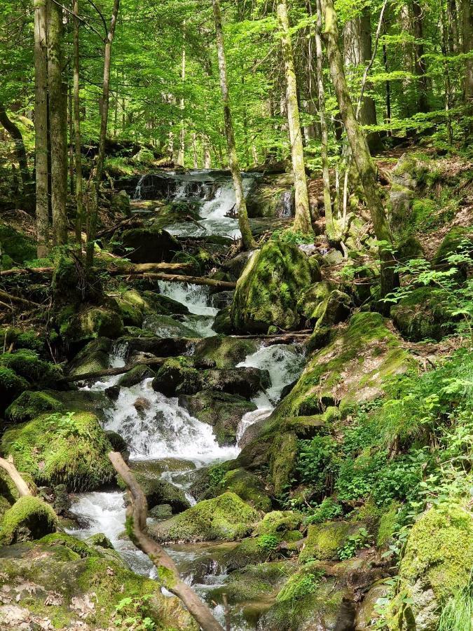 Ferien Vom Ich, Bayerischer Wald, Hotel & Restaurant Neukirchen  Eksteriør billede