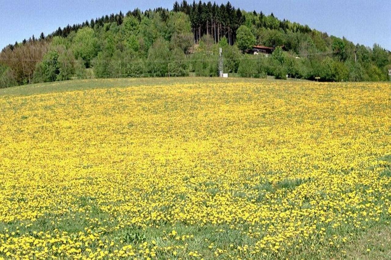Ferien Vom Ich, Bayerischer Wald, Hotel & Restaurant Neukirchen  Eksteriør billede