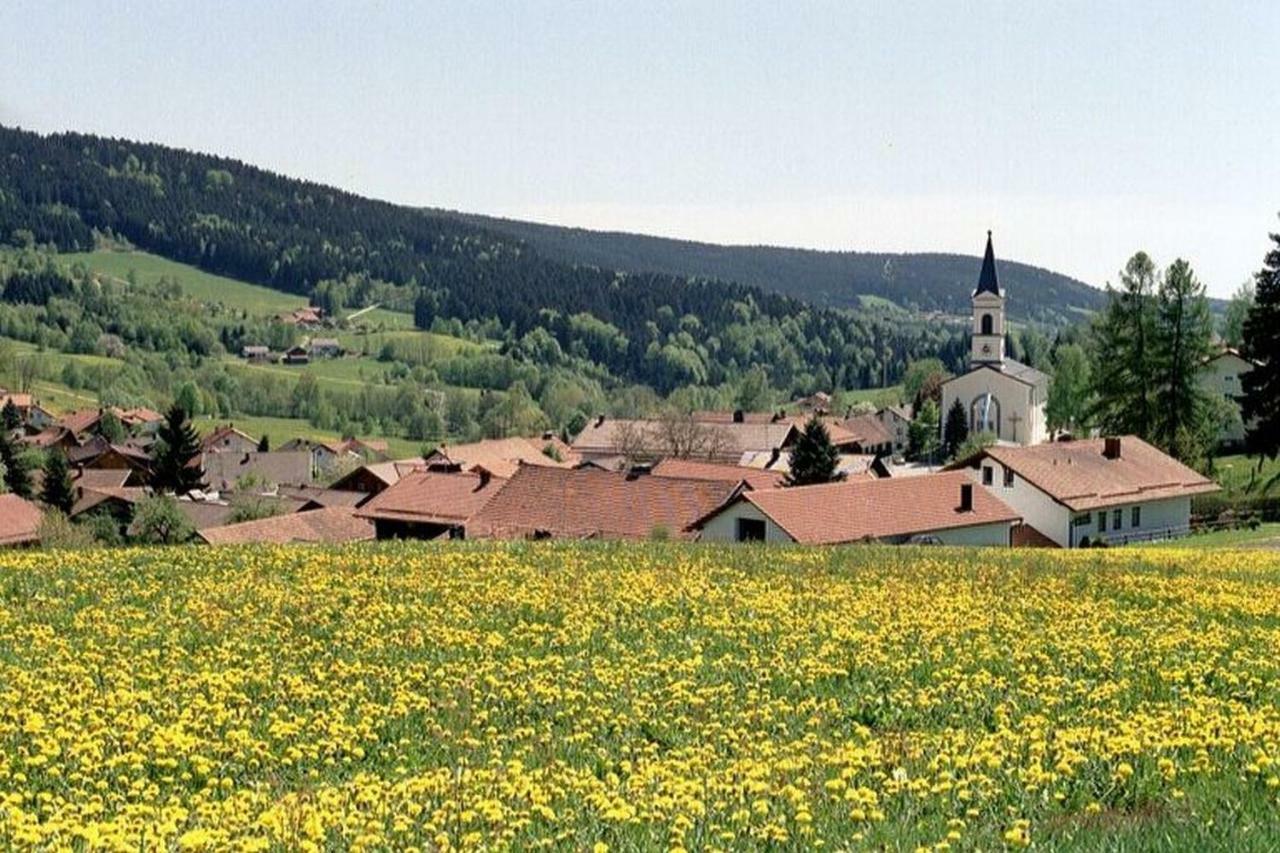 Ferien Vom Ich, Bayerischer Wald, Hotel & Restaurant Neukirchen  Eksteriør billede
