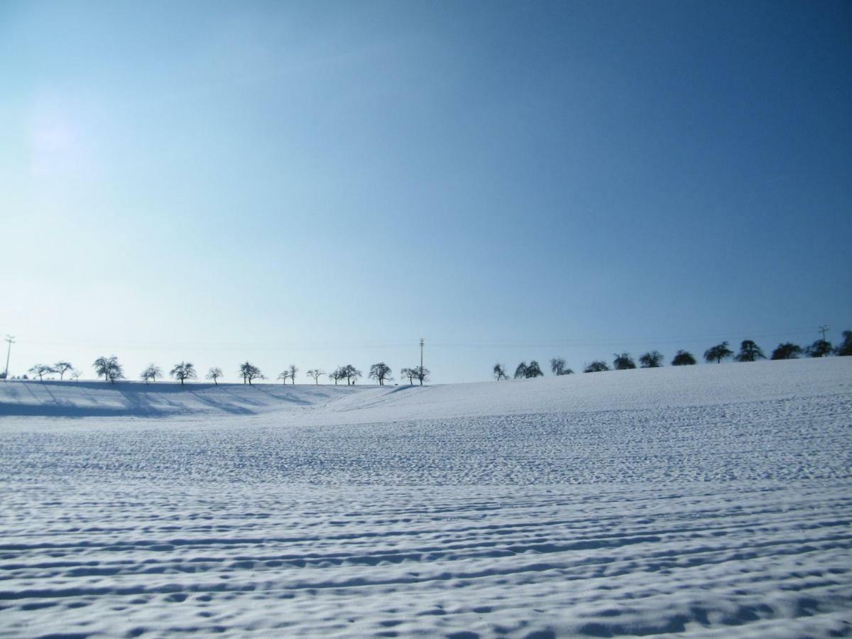 Ferien Vom Ich, Bayerischer Wald, Hotel & Restaurant Neukirchen  Eksteriør billede