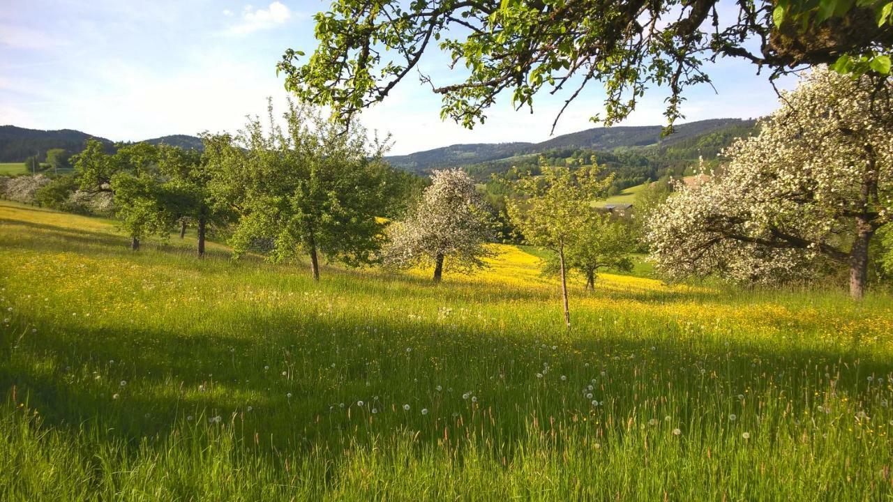 Ferien Vom Ich, Bayerischer Wald, Hotel & Restaurant Neukirchen  Eksteriør billede