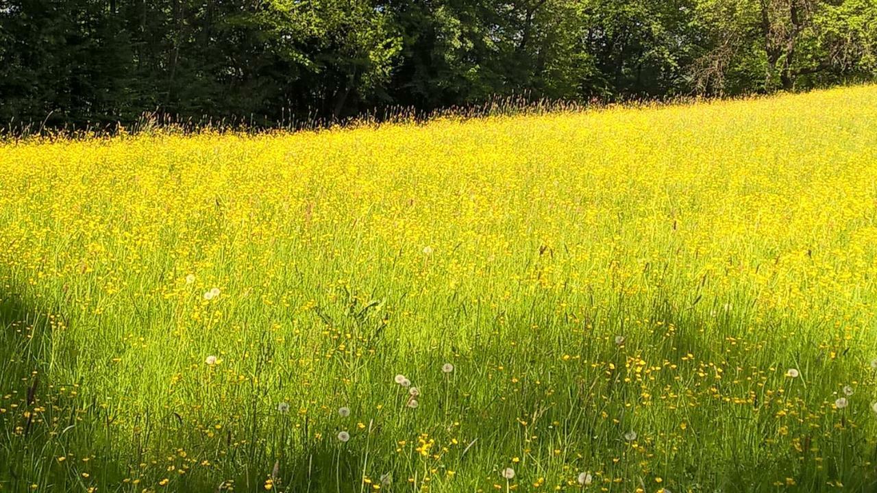 Ferien Vom Ich, Bayerischer Wald, Hotel & Restaurant Neukirchen  Eksteriør billede