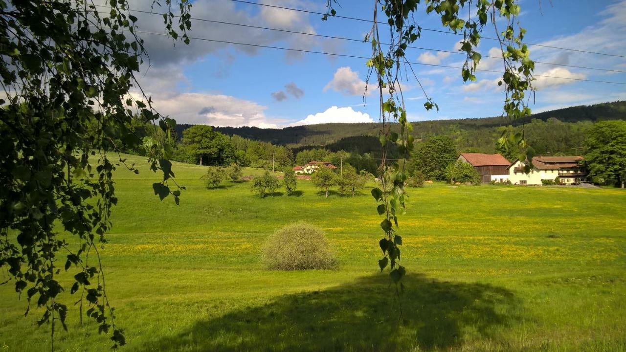 Ferien Vom Ich, Bayerischer Wald, Hotel & Restaurant Neukirchen  Eksteriør billede